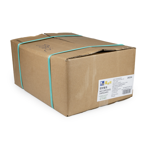 Dace_(Mud_Carp)_H/O_Gutted_IVP_04