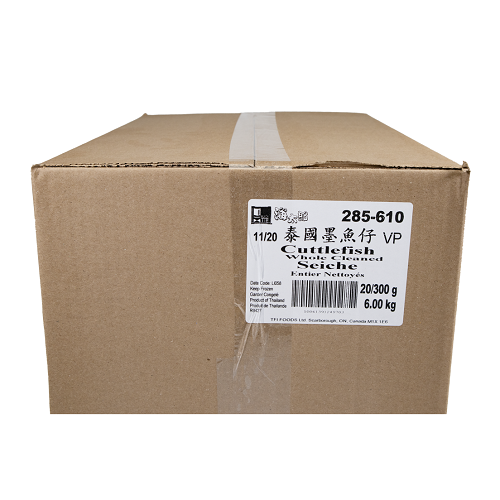 Cuttlefish_whole_cleaned_03